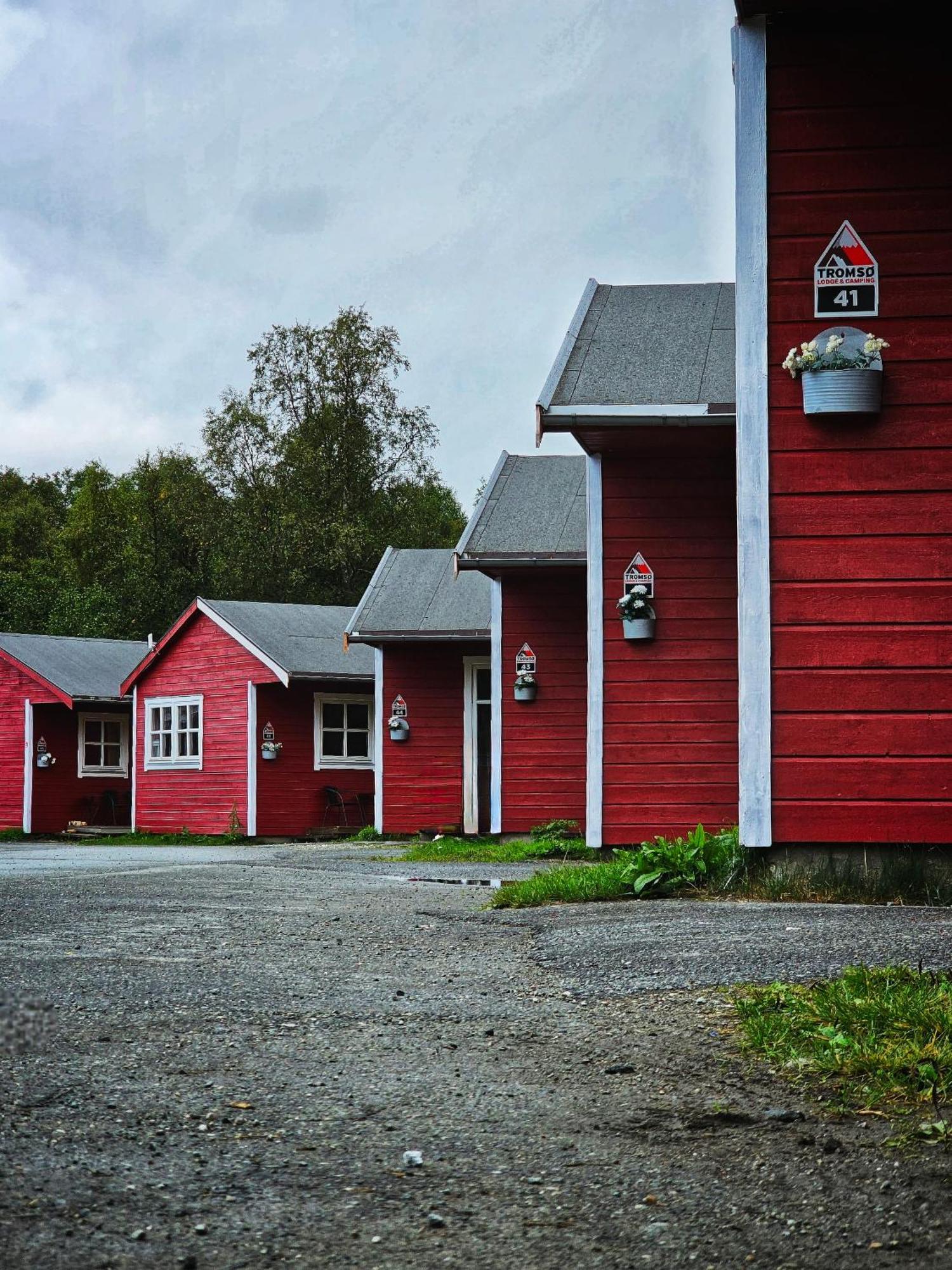 Tromso Lodge & Camping エクステリア 写真